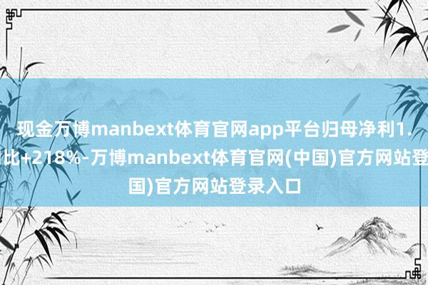 现金万博manbext体育官网app平台归母净利1.0亿/同比+218%-万博manbext体育官网(中国)官方网站登录入口
