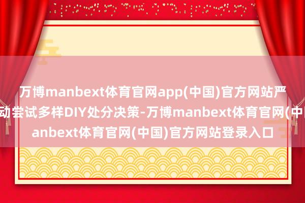 万博manbext体育官网app(中国)官方网站严慎的特斯拉车主们启动尝试多样DIY处分决策-万博manbext体育官网(中国)官方网站登录入口