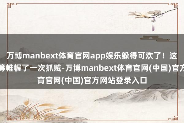 万博manbext体育官网app娱乐躲得可欢了！这就像你悉心运筹帷幄了一次抓贼-万博manbext体育官网(中国)官方网站登录入口