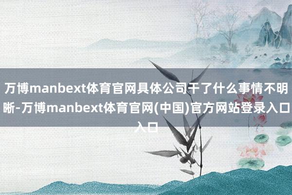 万博manbext体育官网具体公司干了什么事情不明晰-万博manbext体育官网(中国)官方网站登录入口