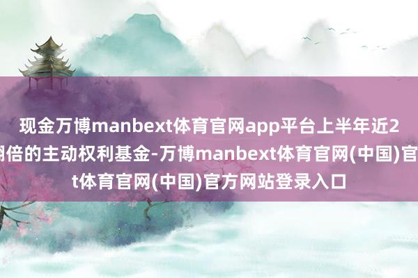 现金万博manbext体育官网app平台上半年近200只竣事净值翻倍的主动权利基金-万博manbext体育官网(中国)官方网站登录入口