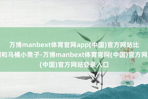 万博manbext体育官网app(中国)官方网站比如双面浴刷和马桶小凳子-万博manbext体育官网(中国)官方网站登录入口