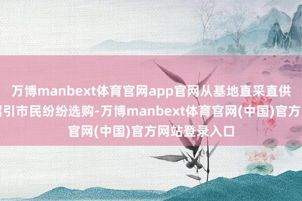 万博manbext体育官网app官网从基地直采直供的清新蔬菜招引市民纷纷选购-万博manbext体育官网(中国)官方网站登录入口