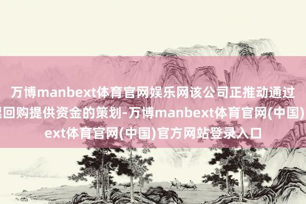 万博manbext体育官网娱乐网该公司正推动通过此举为大规模股票回购提供资金的策划-万博manbext体育官网(中国)官方网站登录入口